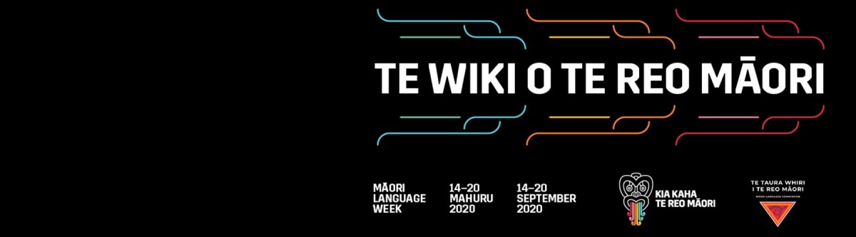 Te Reo and Identity